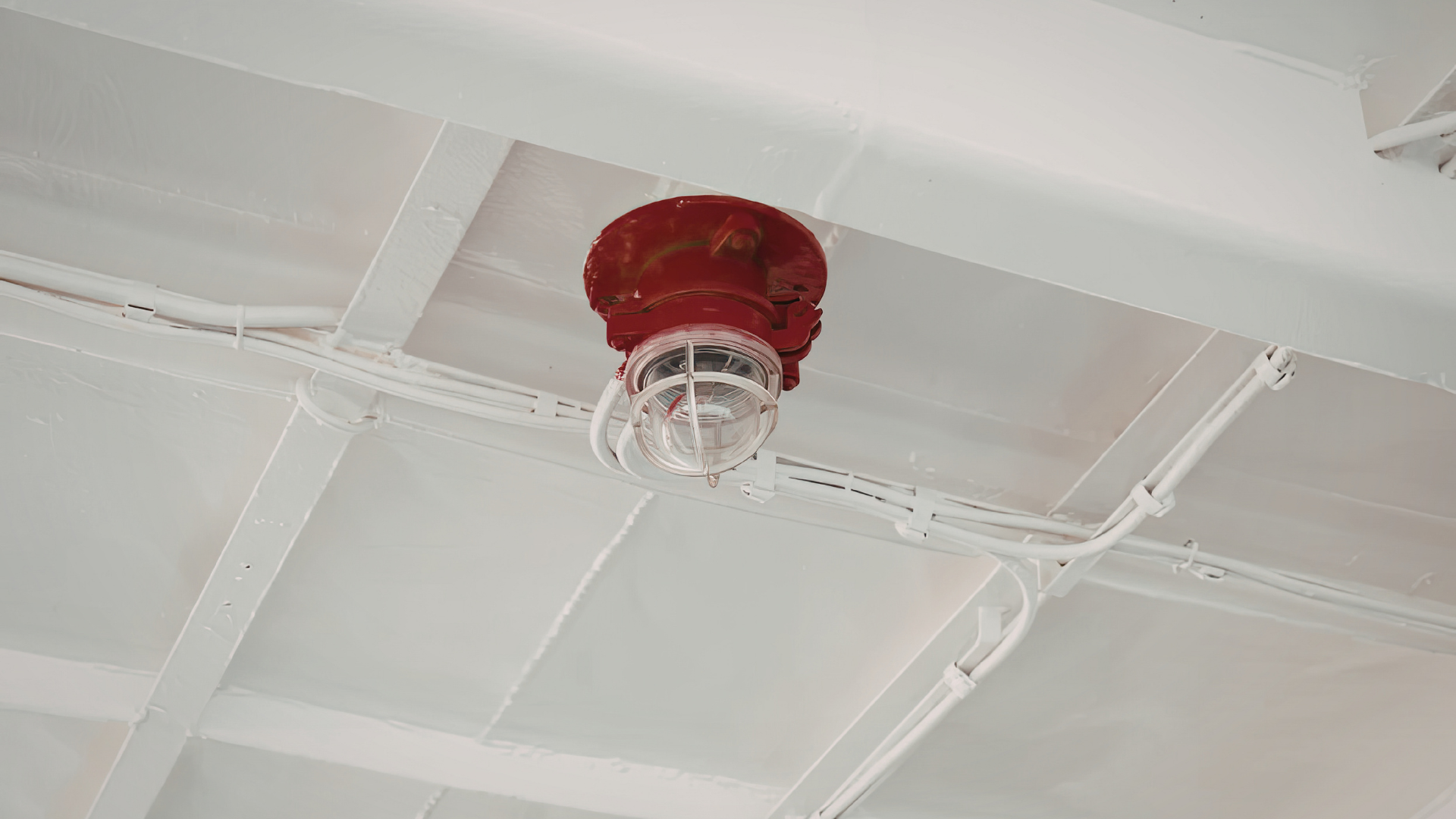 Untitled design (96)